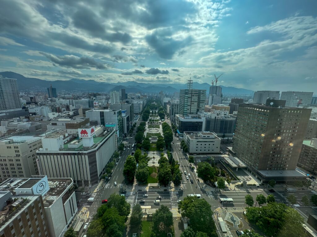 札幌大通りのビジネス街